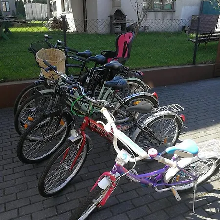 Goscinne Skaut Проживание в семье *