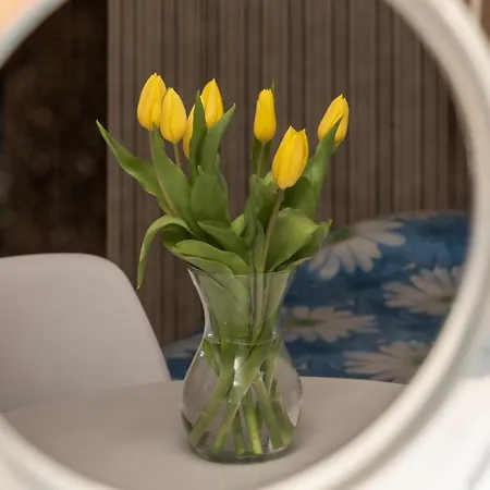 Goscinne Skaut Quarto em Acomodações Particulares