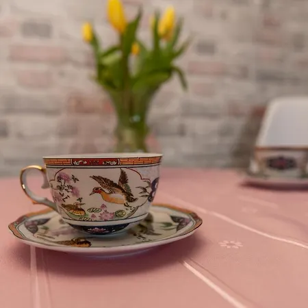 Goscinne Skaut Проживание в семье