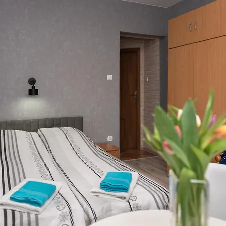 Goscinne Skaut Проживание в семье Владыславово