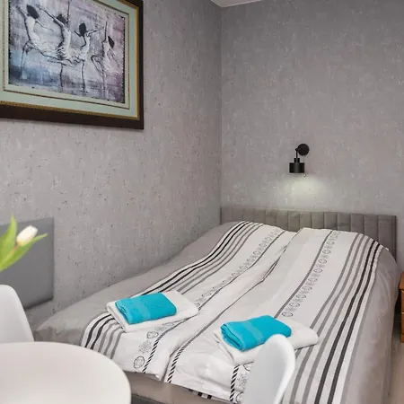 Goscinne Skaut Homestay *