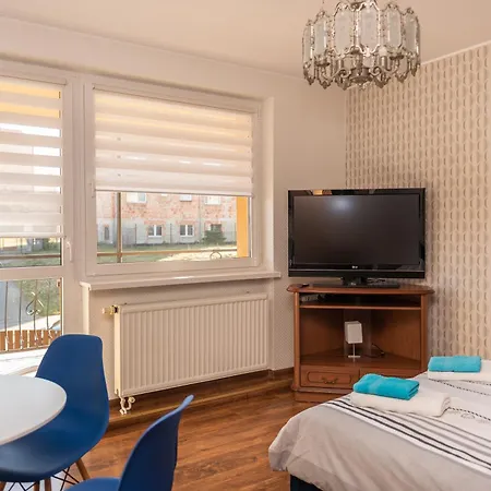 Проживание в семье Goscinne Skaut