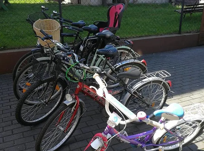 Goscinne Skaut منزل للإقامة *