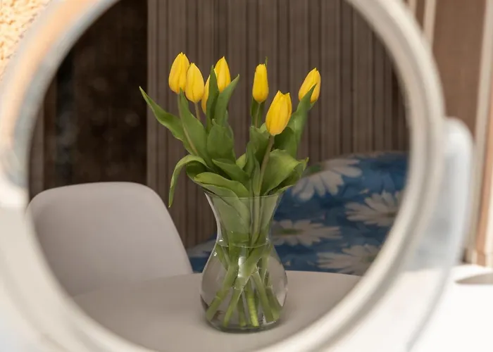 Goscinne Skaut منزل للإقامة