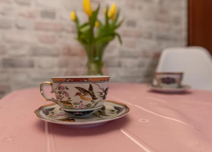 Goscinne Skaut منزل للإقامة