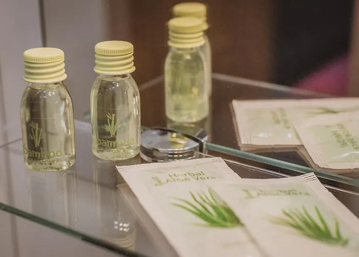 Goscinne Skaut منزل للإقامة